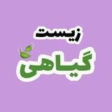 زیست کنکور | زیست گیاهی