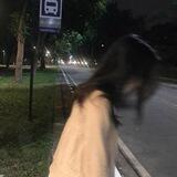 𝙍𝘼𝙎𝙇𝙇