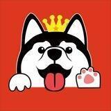 husky 中文社区Pro