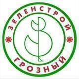 МУП ЗЕЛЕНСТРОЙ
