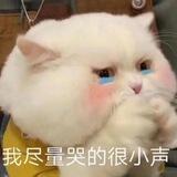 福耀电销拉手交流群
