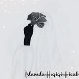 𝑖𝑠𝑙𝑎𝑚𝑑𝑎 𝐻ə𝑞𝑖𝑞𝑖 𝐻𝑖𝑐𝑎𝑏