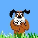 DuckHunt-ERC_OFFICIAL