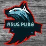 ASUS PUBG