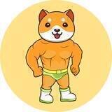 Buff Baby Doge Coin Announcement