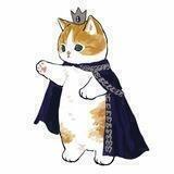 naidikote🐱