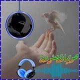 🎙صوتيات منوعه🎙