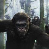 $ROGER APE TALK /BSC/CRO