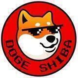 DogeShiba | 华人社区🇨🇳