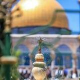 -عـَائِـشـاتّ..!