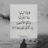 ✿ وَلَا تَهِنُوا وَلَا تَحْزَنُوا ✿