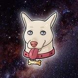 Samuskycoin - Doge Done Right™ (NEW)