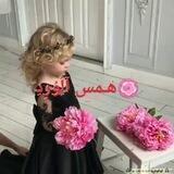 🌺همـس آلورد 🌺