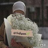 Sofiyam🌱