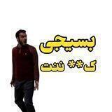 شکار بسیجی