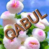 Guruh qabulxonasi