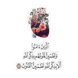 صُحبة الجنّة🤎🌻'.