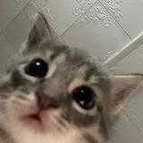 я живу 😟