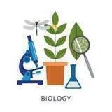 Optimal_Biologiya ( ZMU_MATONAT_school)