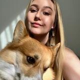 ✨черновые записки;