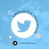 MÜSİOBA ilə "Tweet"lər