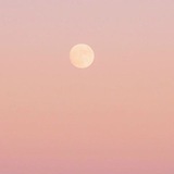 pimo: pink moon. open ♡