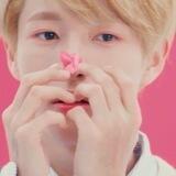 ˓ ִ۟ ♡ ꒰ ෆ 𝓐lᥱn Prᦅᦅf ꒱ 𓇬᮫