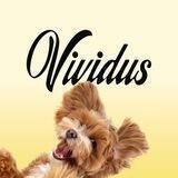 Vividus_salmon_oil