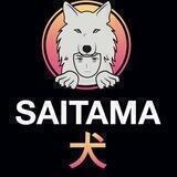 DexRocket SAITAMA