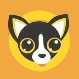 Chihuahua Community Chat