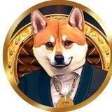 Ceo SHIBA