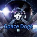 SpaceDoge 🚀全球中文社区