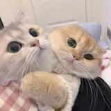 . ᥴɦᎥᥣَძɦ᥆ِ᥆ძ ƒɾᎥᥱَꪀძ .