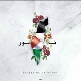 •نُـورٍ⊁•
