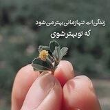 شکوه ثروت