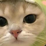 nojiro