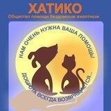ХАТИКО - помощь бездомным животным