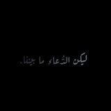 محمود بن حَسَّان.