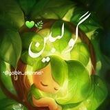 گولبینఌ︎🌱