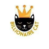 Billionaire Cat Chinese Community
