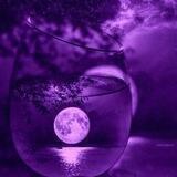 💜🌙ماه‌ِ بنفشم🌙💜