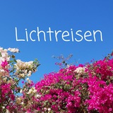 Theresias Lichtreisen 💖 ✨