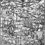 Alchemie der Kräuter 🌿🥣