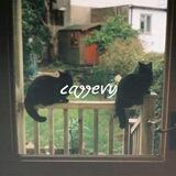 ᴄᴀᴛᴛᴇry