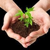 Вам пишет Лама Торф🌱