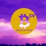 BSV Education