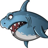 LES REQUINS SE MANGENT ENTRE EUX