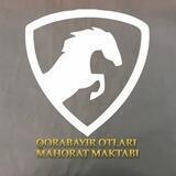 Qorabayir otlari mahorat maktabi