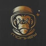 Monkey - BSC