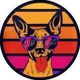 RetroInu_bsc